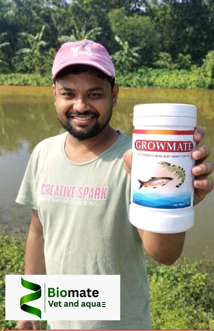 Automated Entry Barrier Control